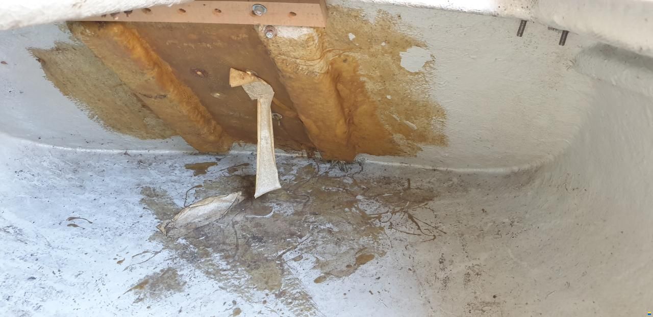 Archambault Bagheera