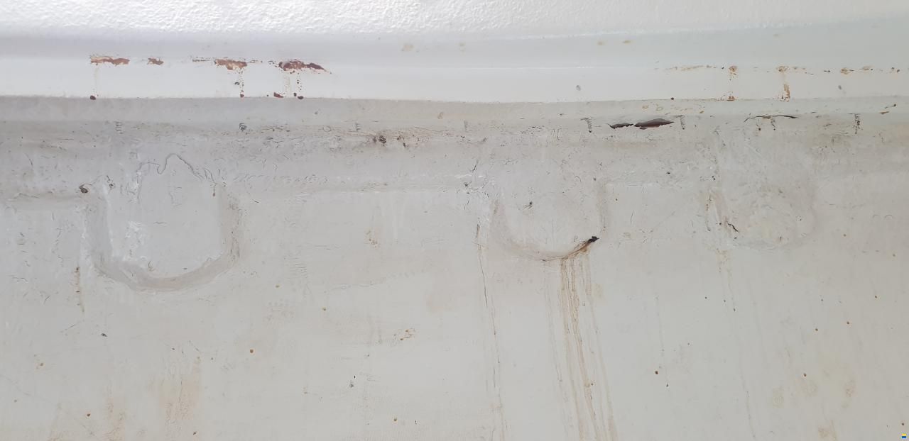 Archambault Bagheera