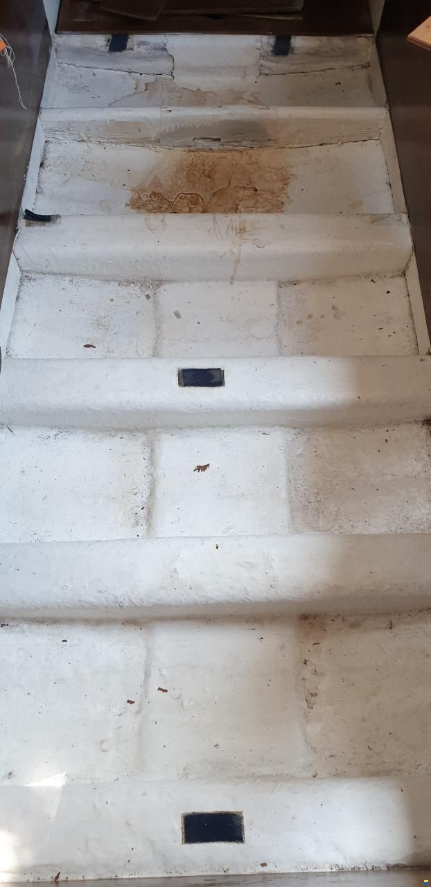 Archambault Bagheera