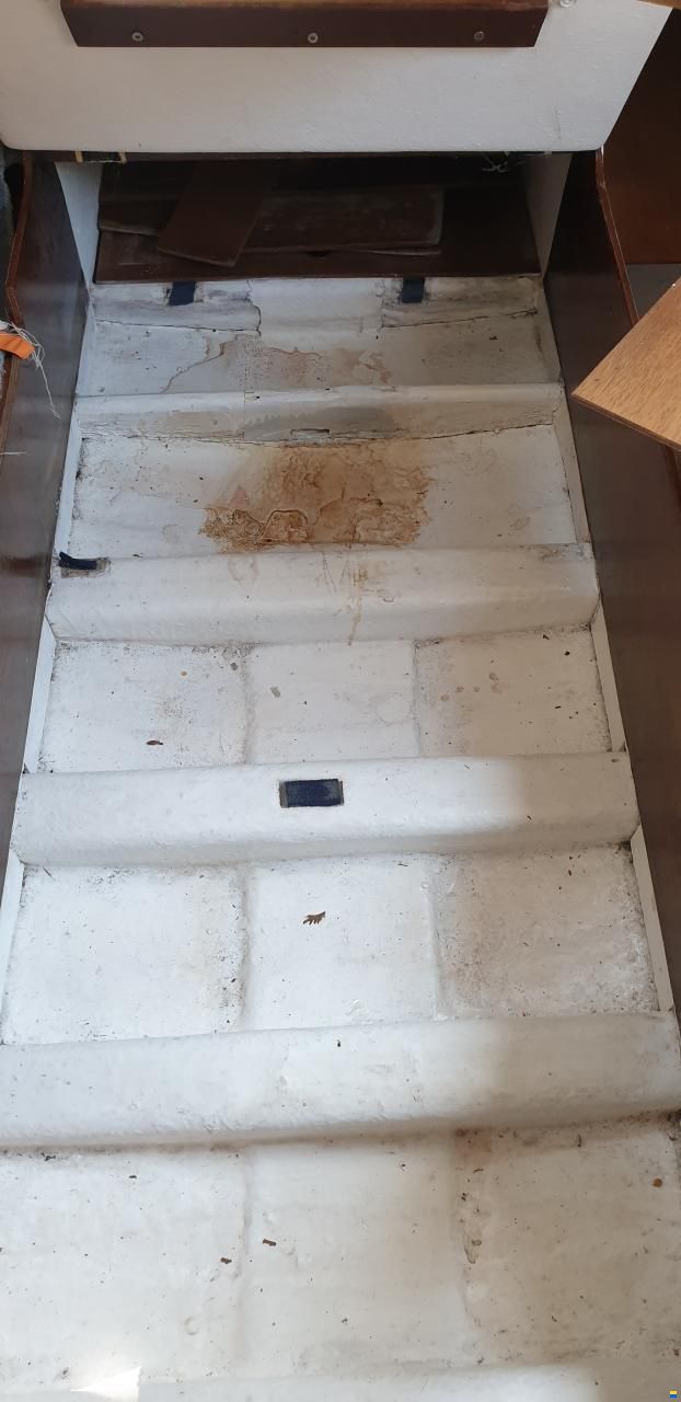 Archambault Bagheera