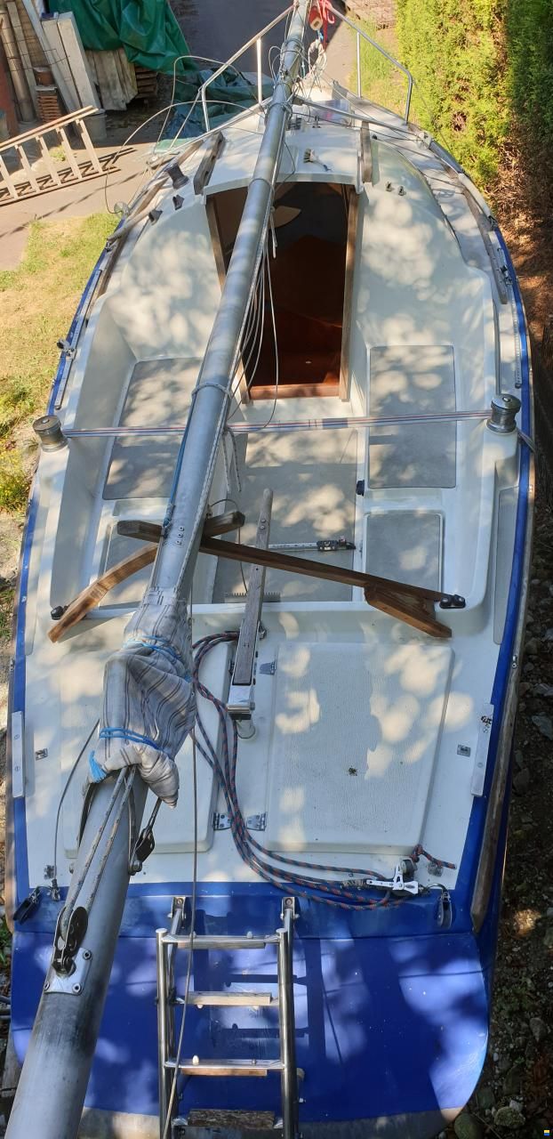 Archambault Bagheera