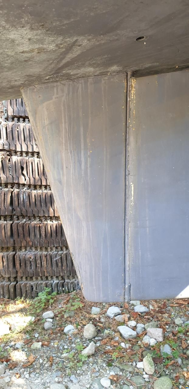 Archambault Bagheera