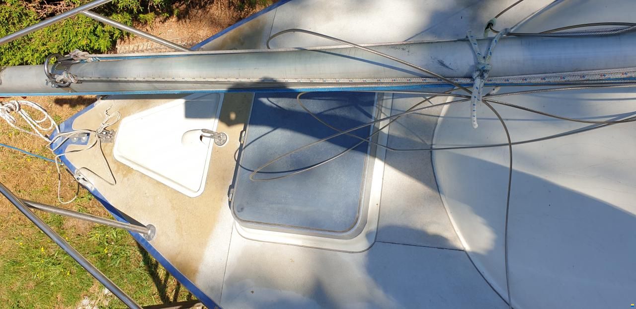 Archambault Bagheera