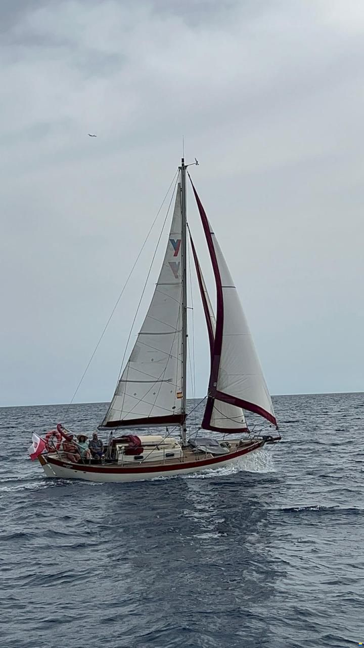 Frances 26 Bermudian Cutter