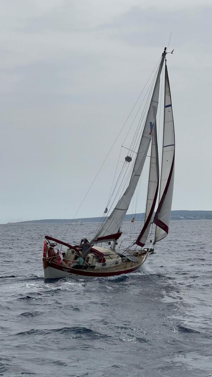 Frances 26 Bermudian Cutter