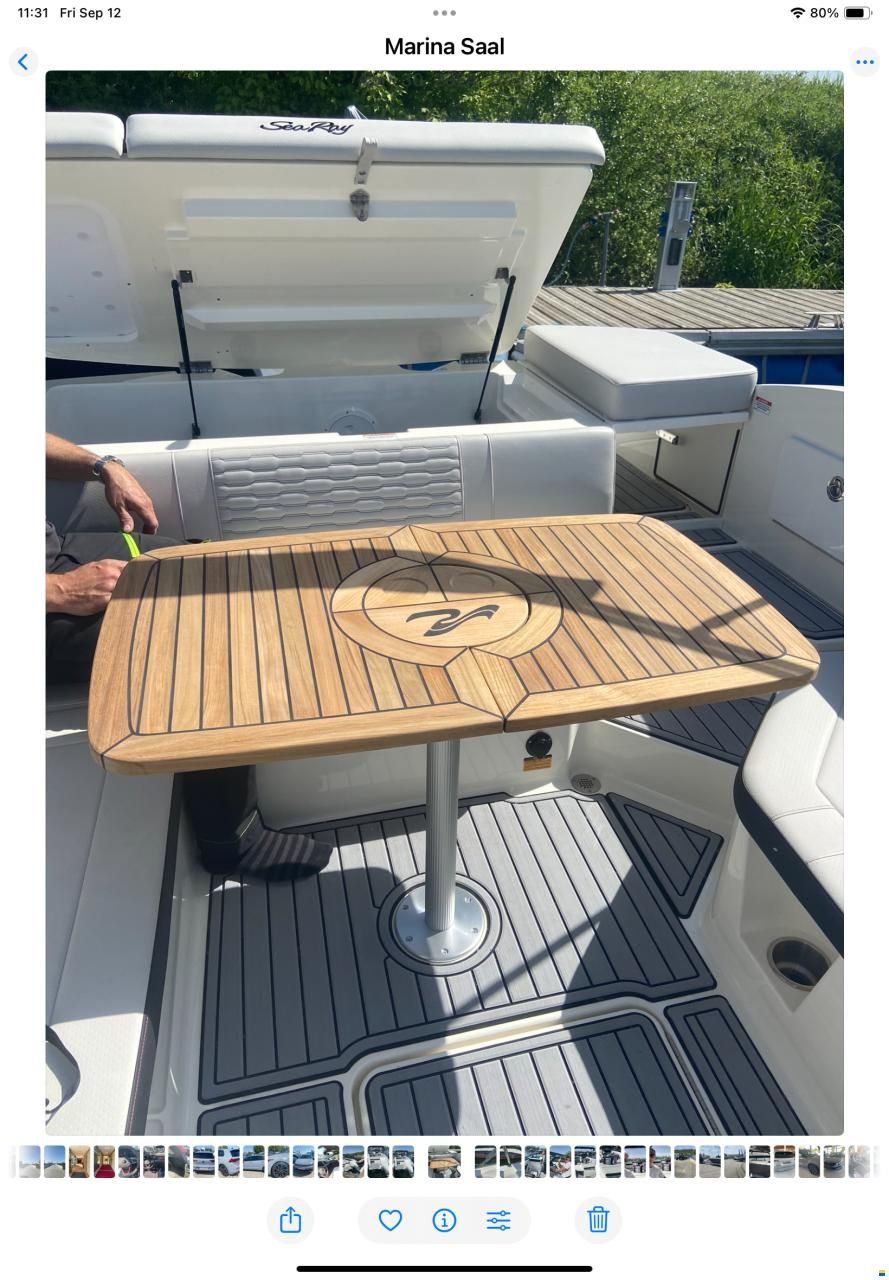 Sea Ray SPX 230 OB