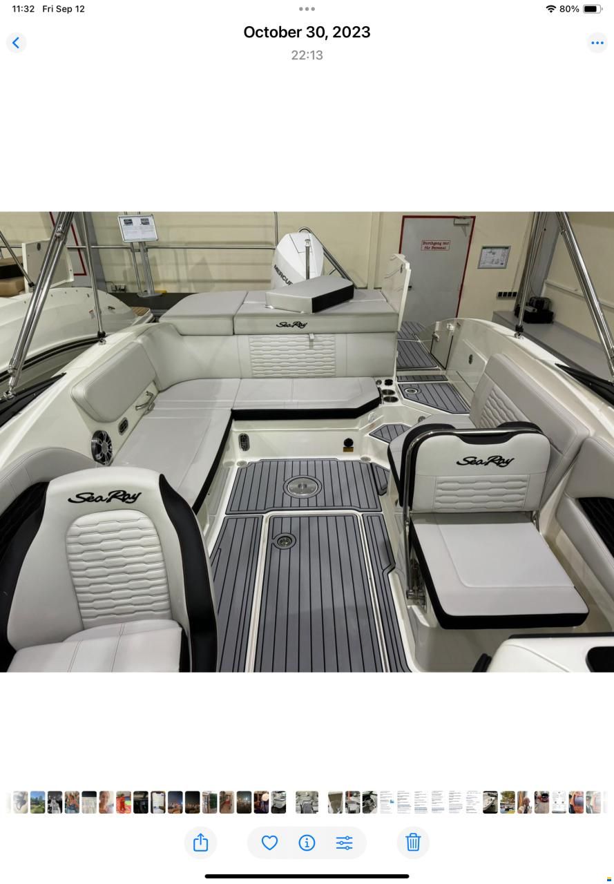 Sea Ray SPX 230 OB