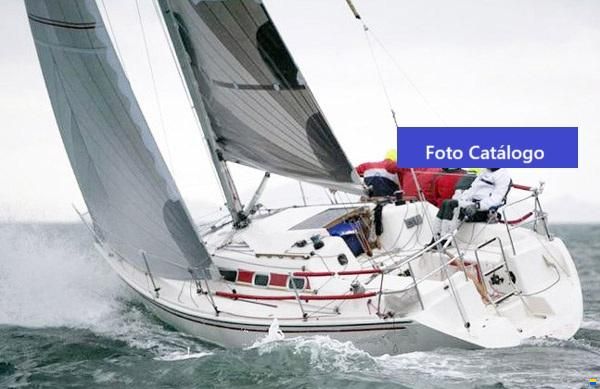 Fortuna 9