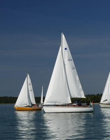 Bicker Biga 292