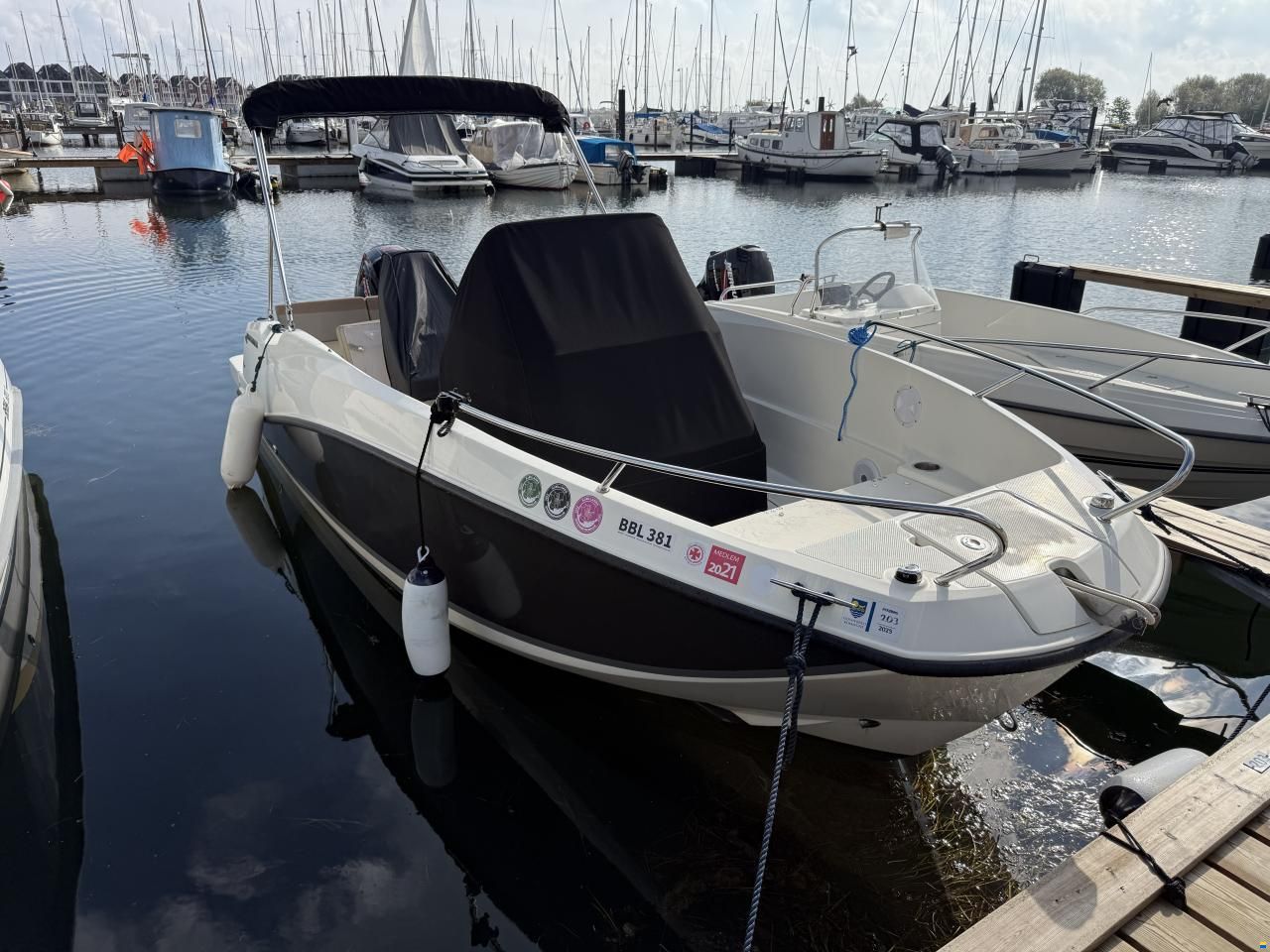 Quicksilver Activ 555 Open med Mercury 115 ProXS (20