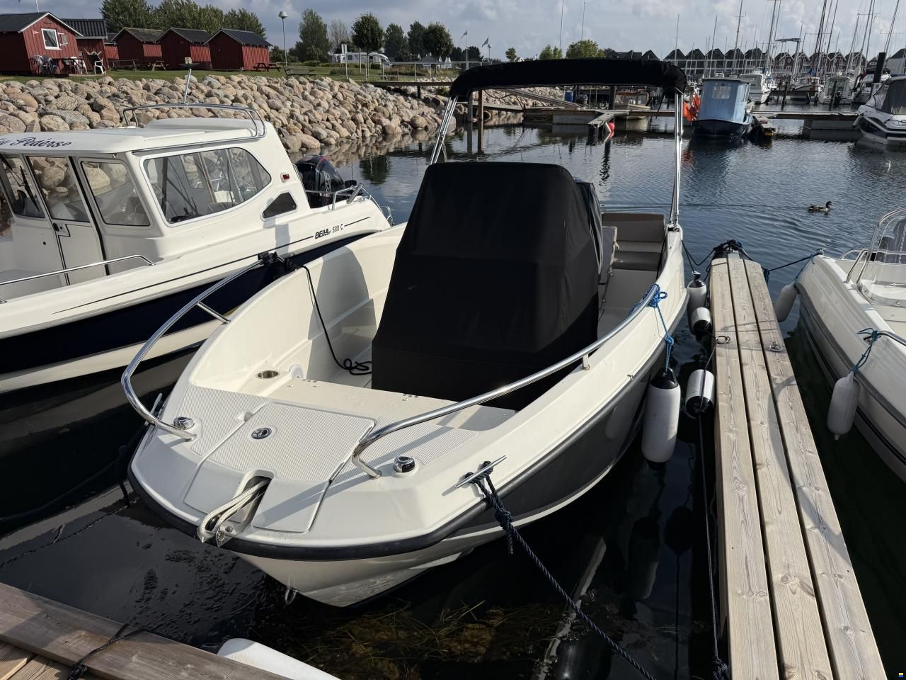 Quicksilver Activ 555 Open med Mercury 115 ProXS (20