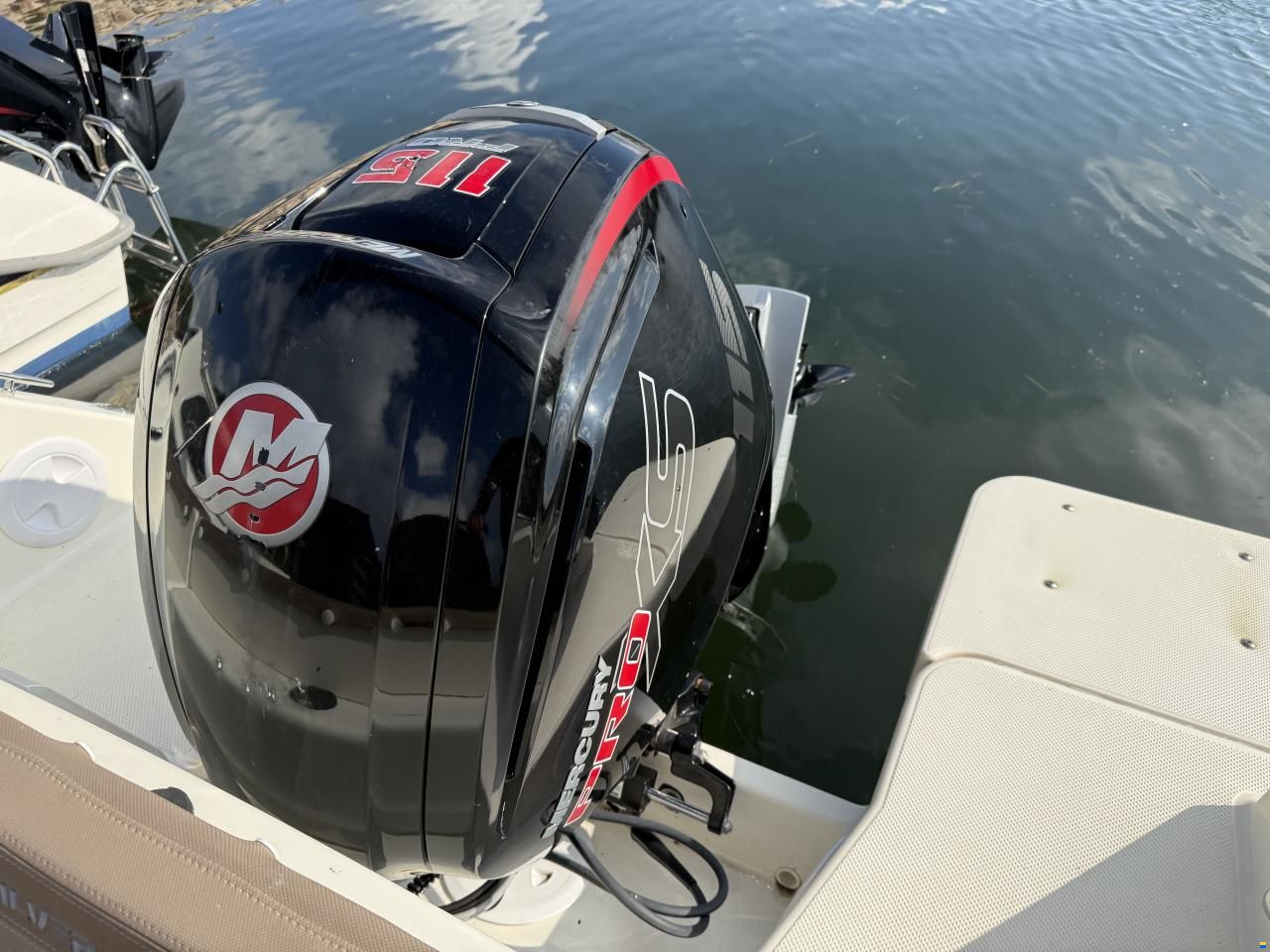 Quicksilver Activ 555 Open med Mercury 115 ProXS (20