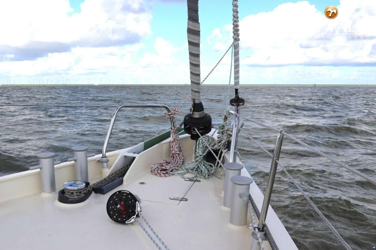 Aluyacht 49