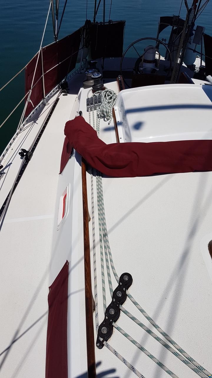 Ta Chiao Princess 38