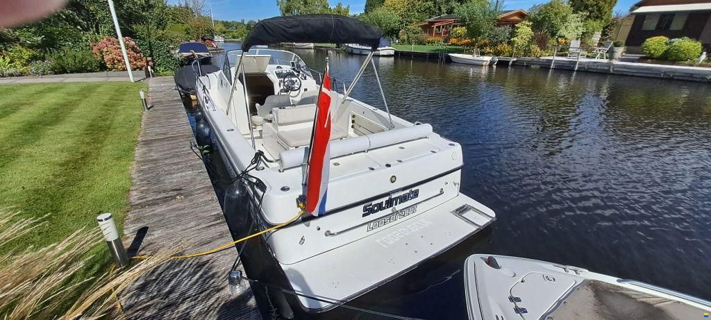 Shamrock 246 Adventure Kajuitboot