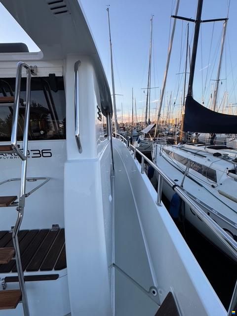 Sargo 36 Fly