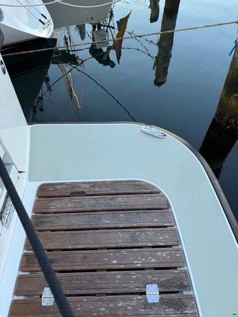 Sargo 36 Fly