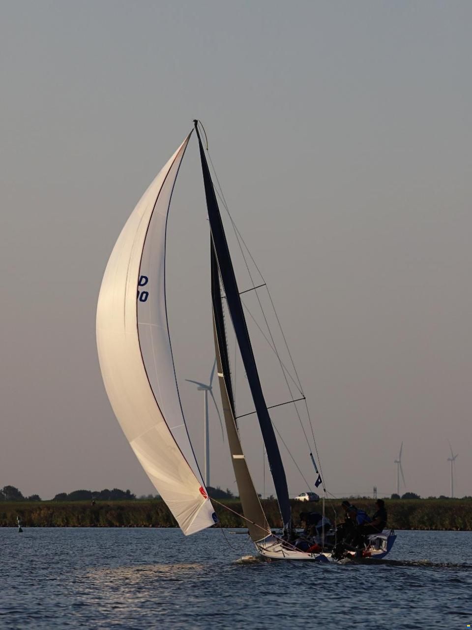 Pro 25