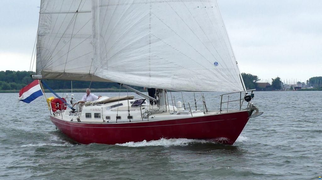 Rebel 41