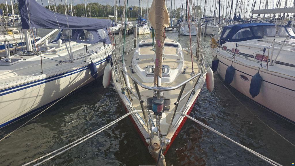 Rebel 41
