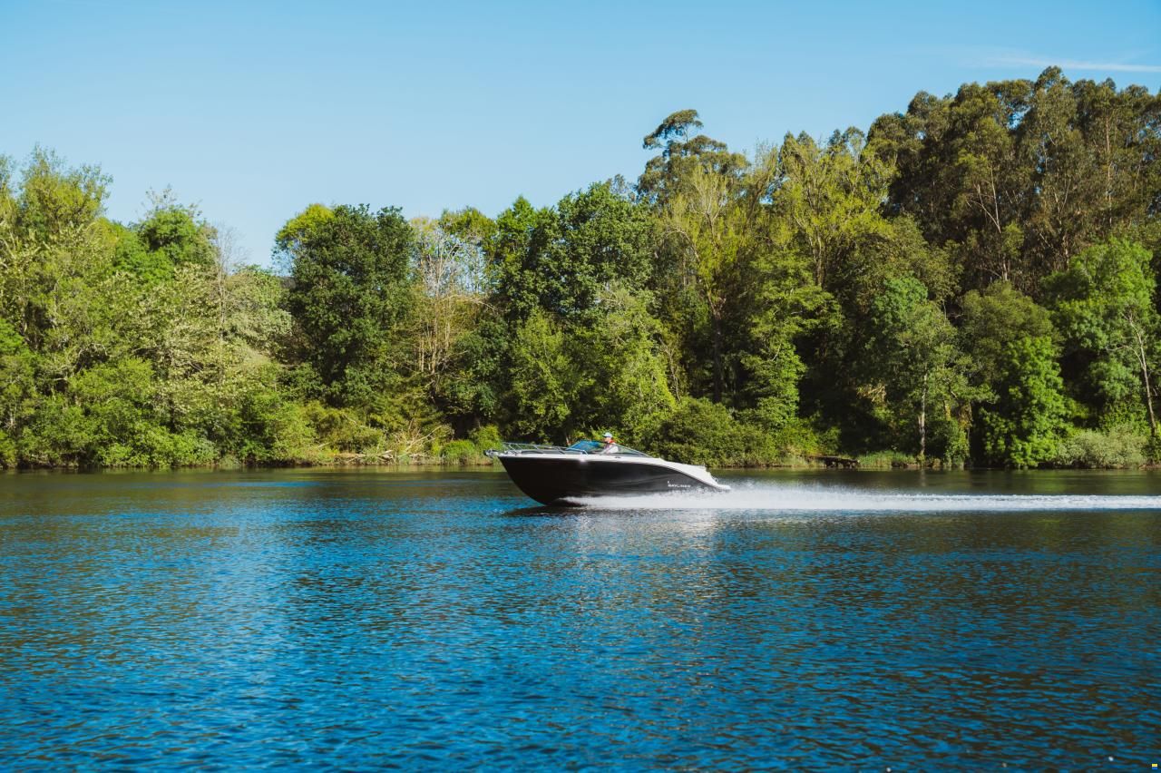 Bayliner C21i Cuddy IB Premiere