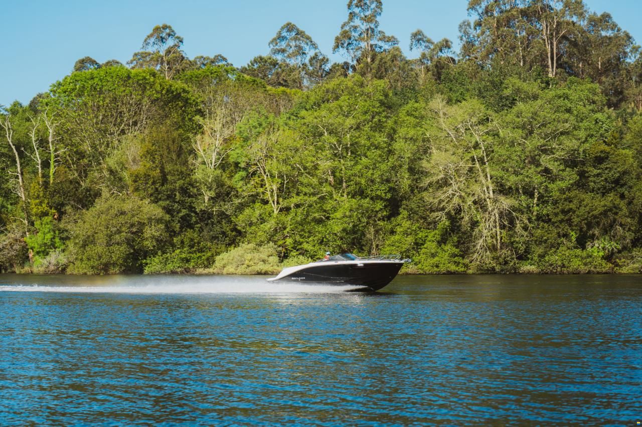 Bayliner C21i Cuddy IB Premiere