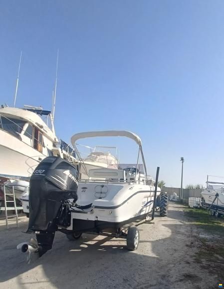 Ranieri Shadow 20 WA