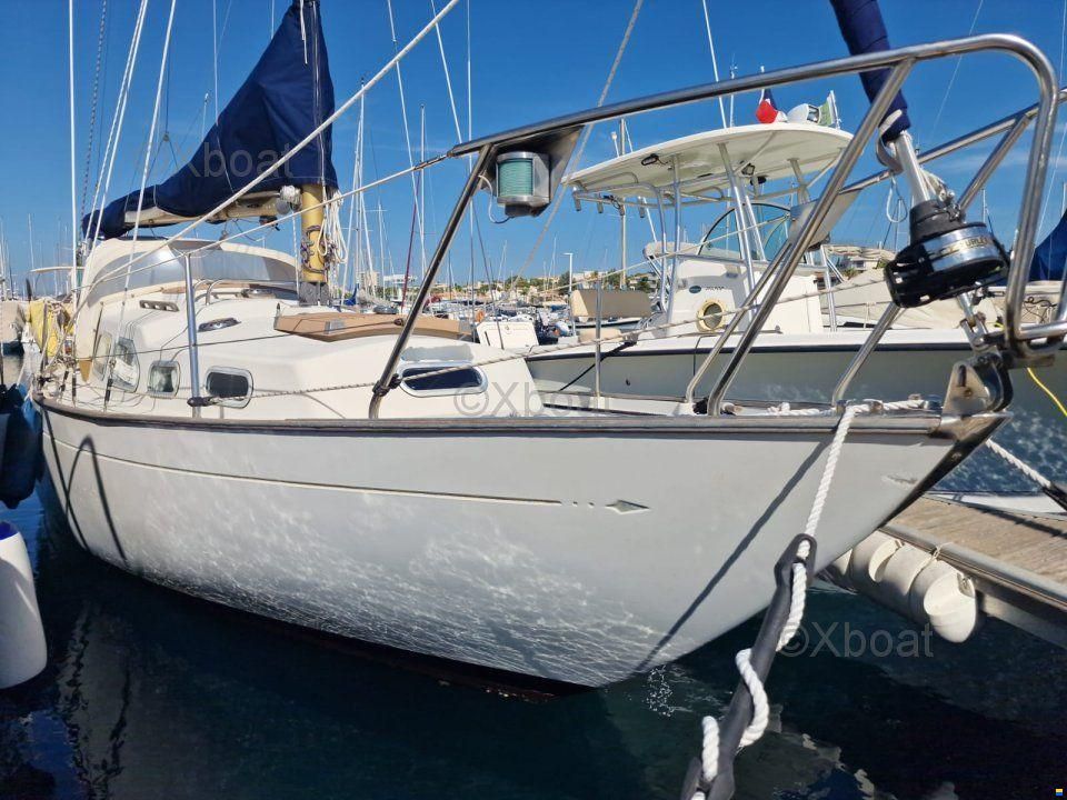 Bianca Yachts 27