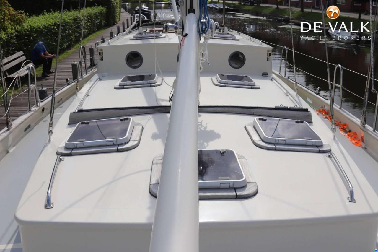 Puffin 50
