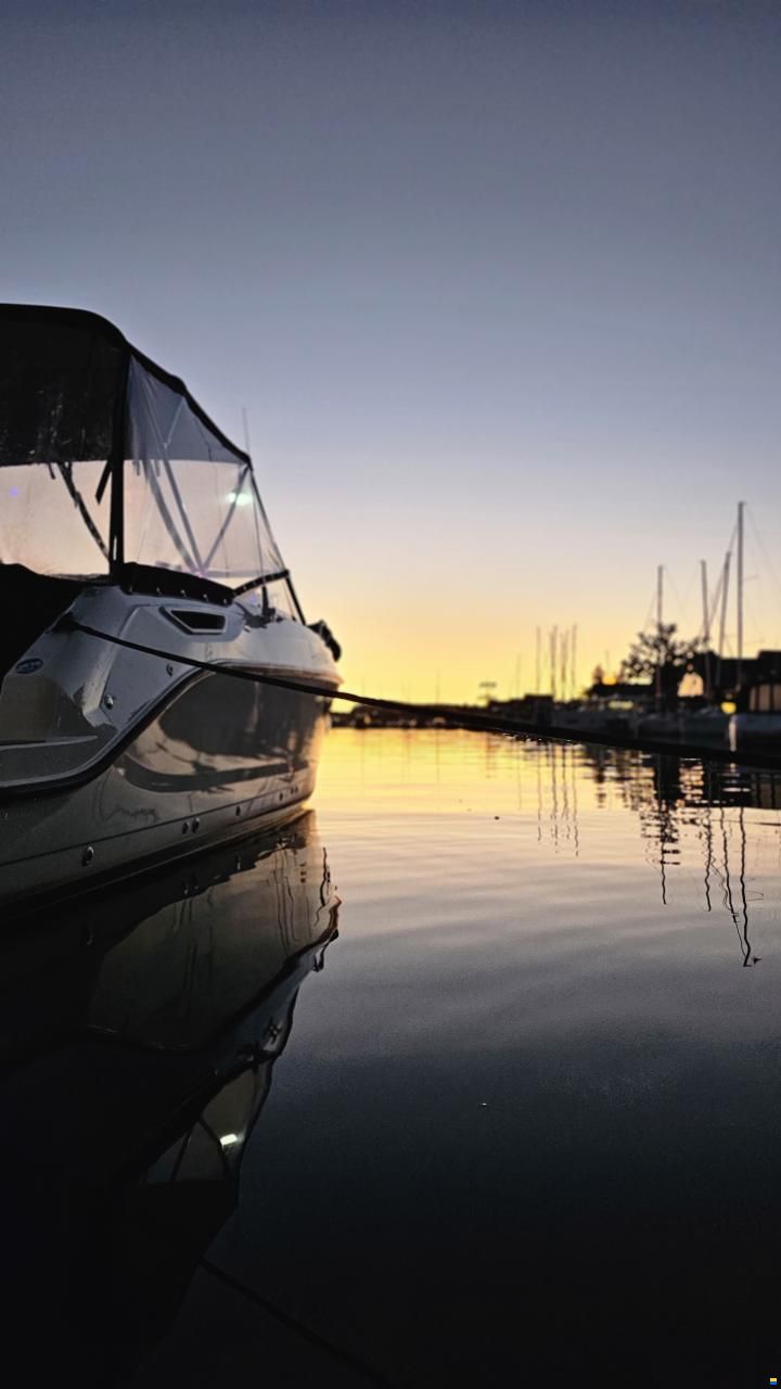 Quicksilver Activ 755 Cruiser
