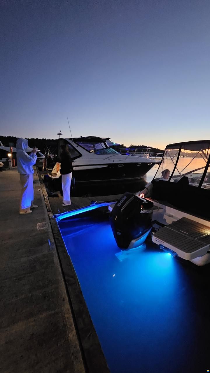 Quicksilver Activ 755 Cruiser
