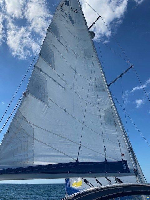 Bavaria 36-