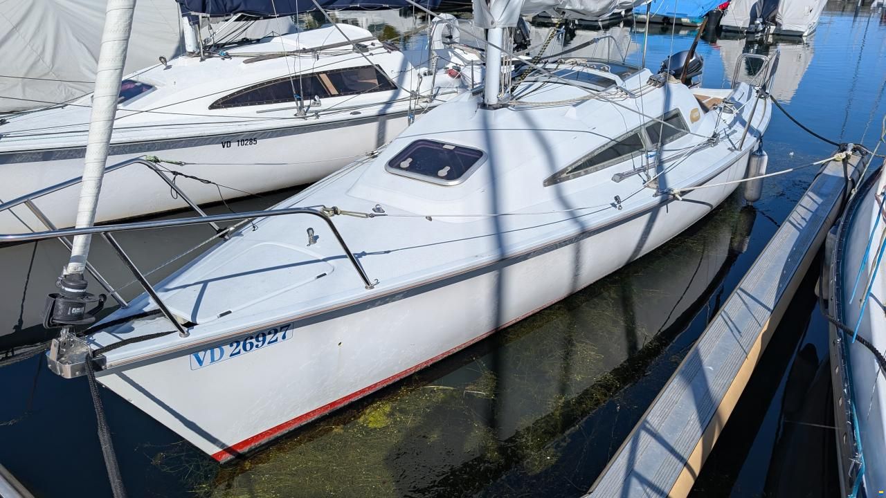 Archambault Surprise