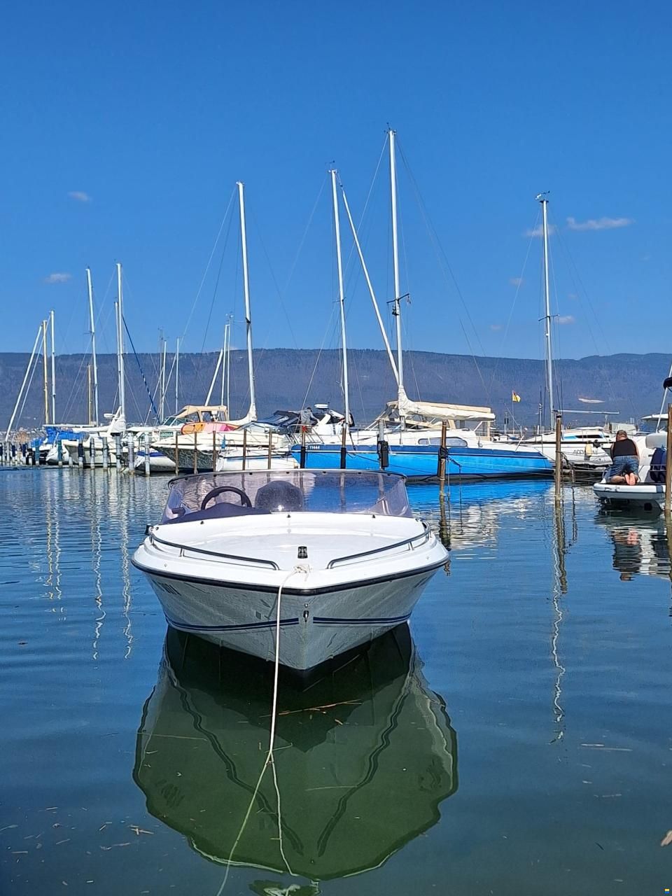 Tullio Abbate Sea Star FB