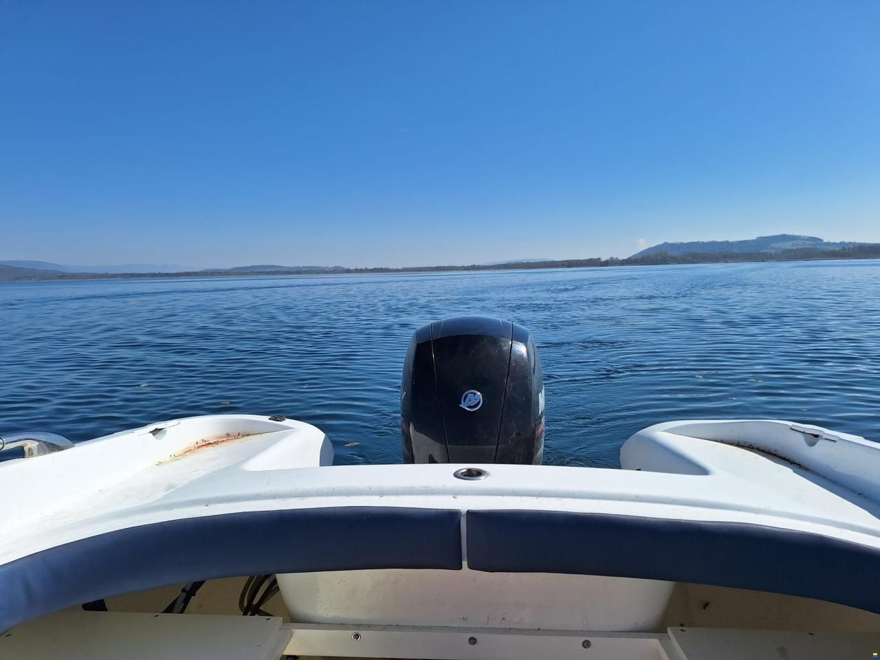 Tullio Abbate Sea Star FB