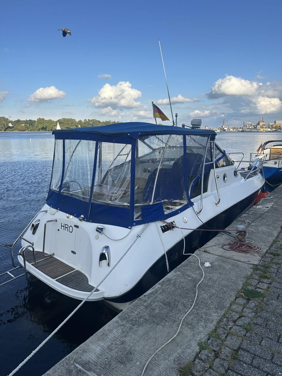 Sea Ray Gladiator