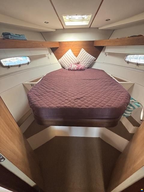Sealine SC35