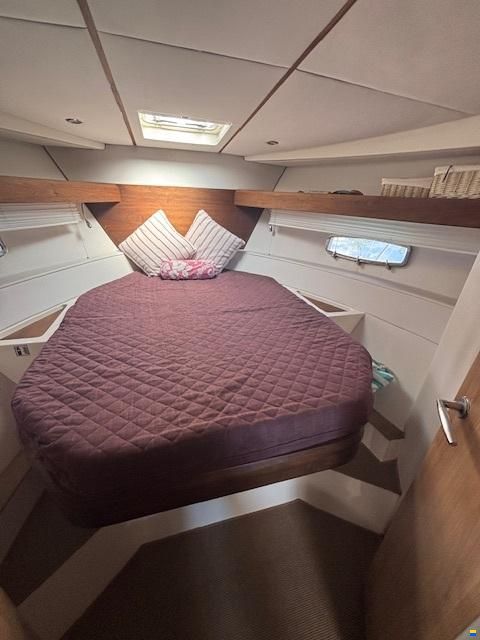 Sealine SC35