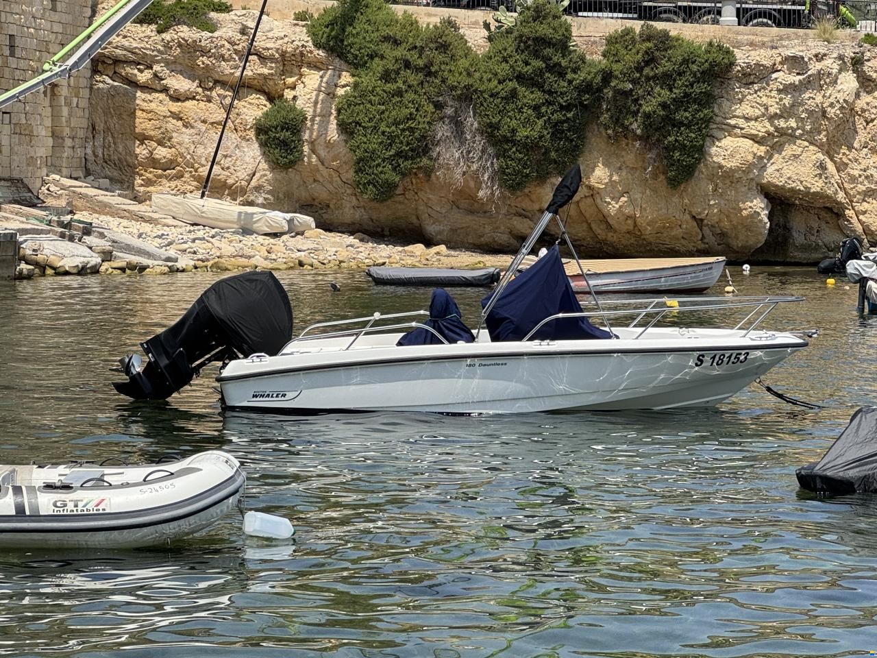 Boston Whaler Dauntless 180