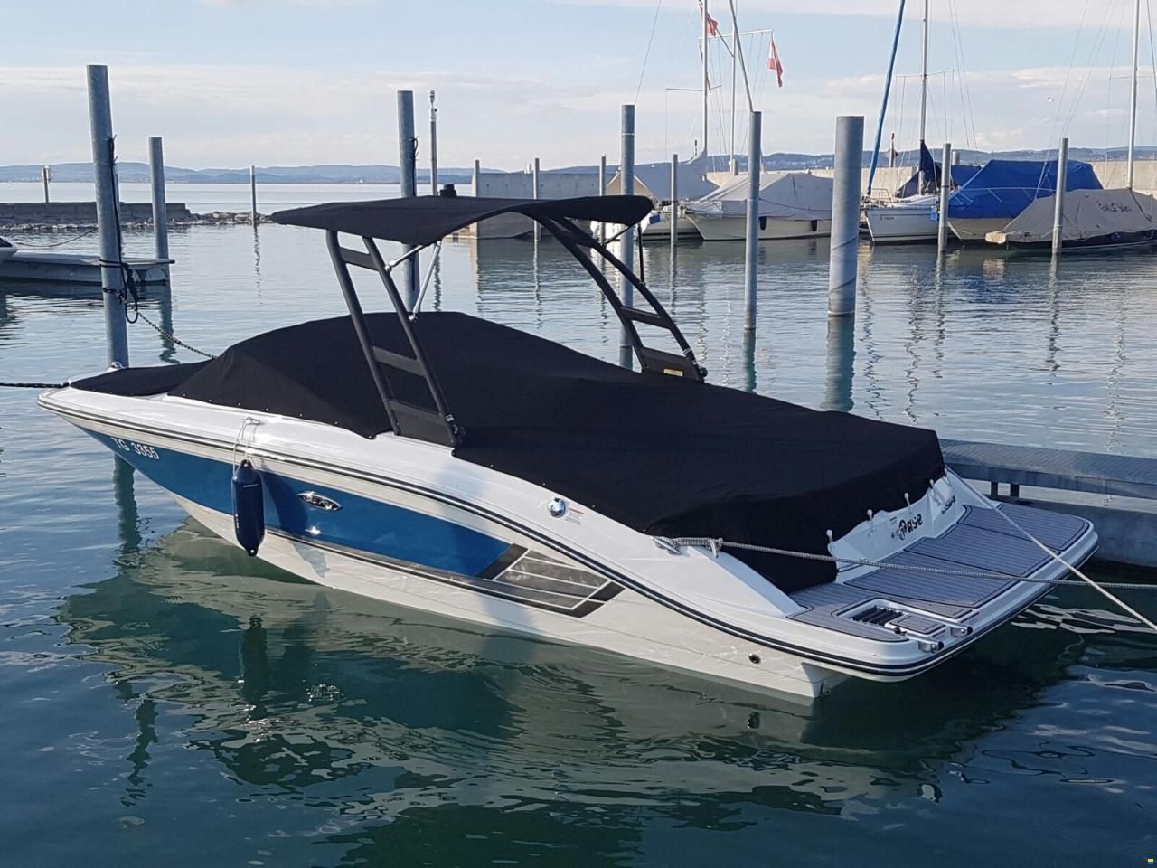 Sea Ray SPX 21