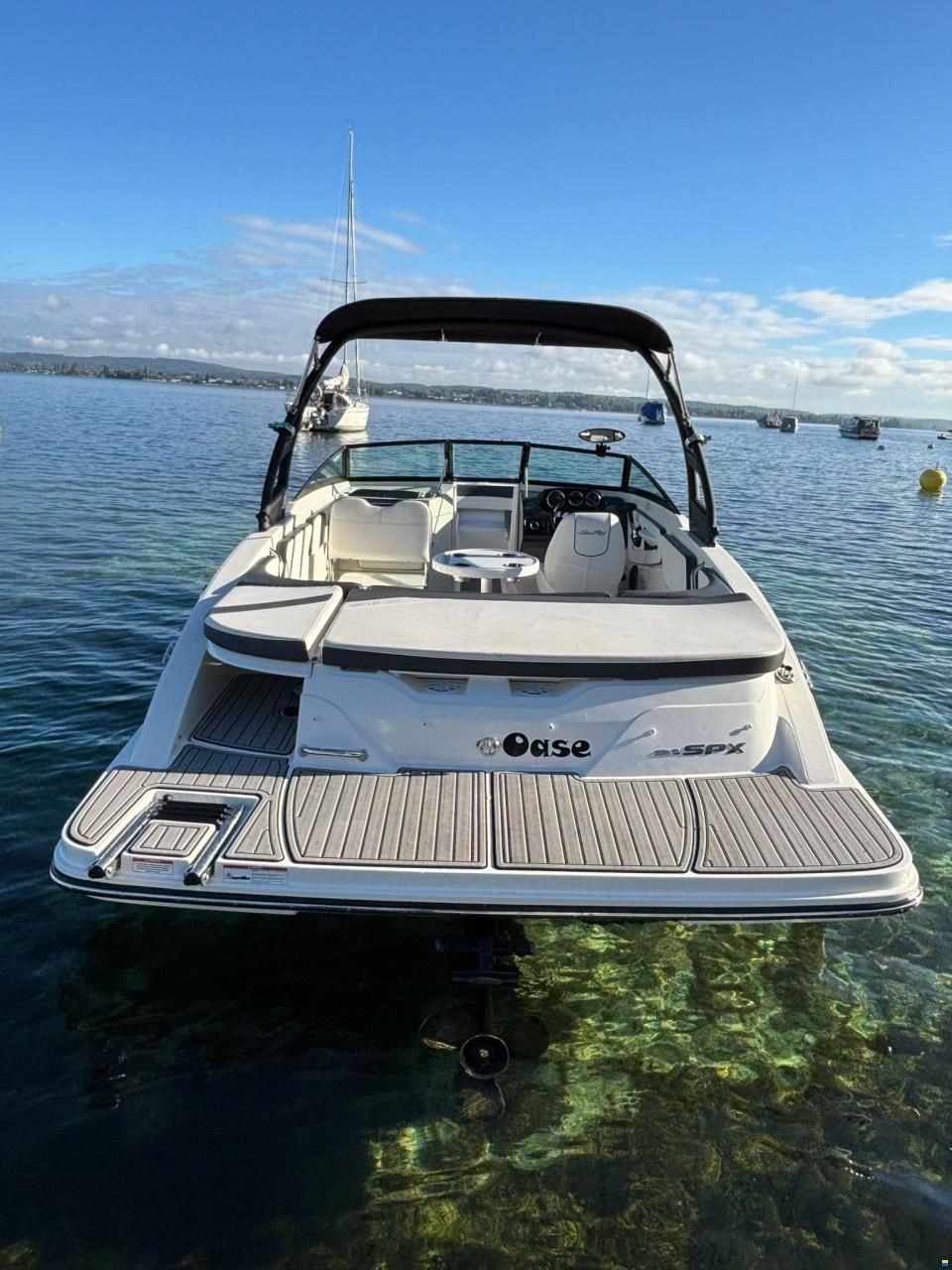 Sea Ray SPX 21