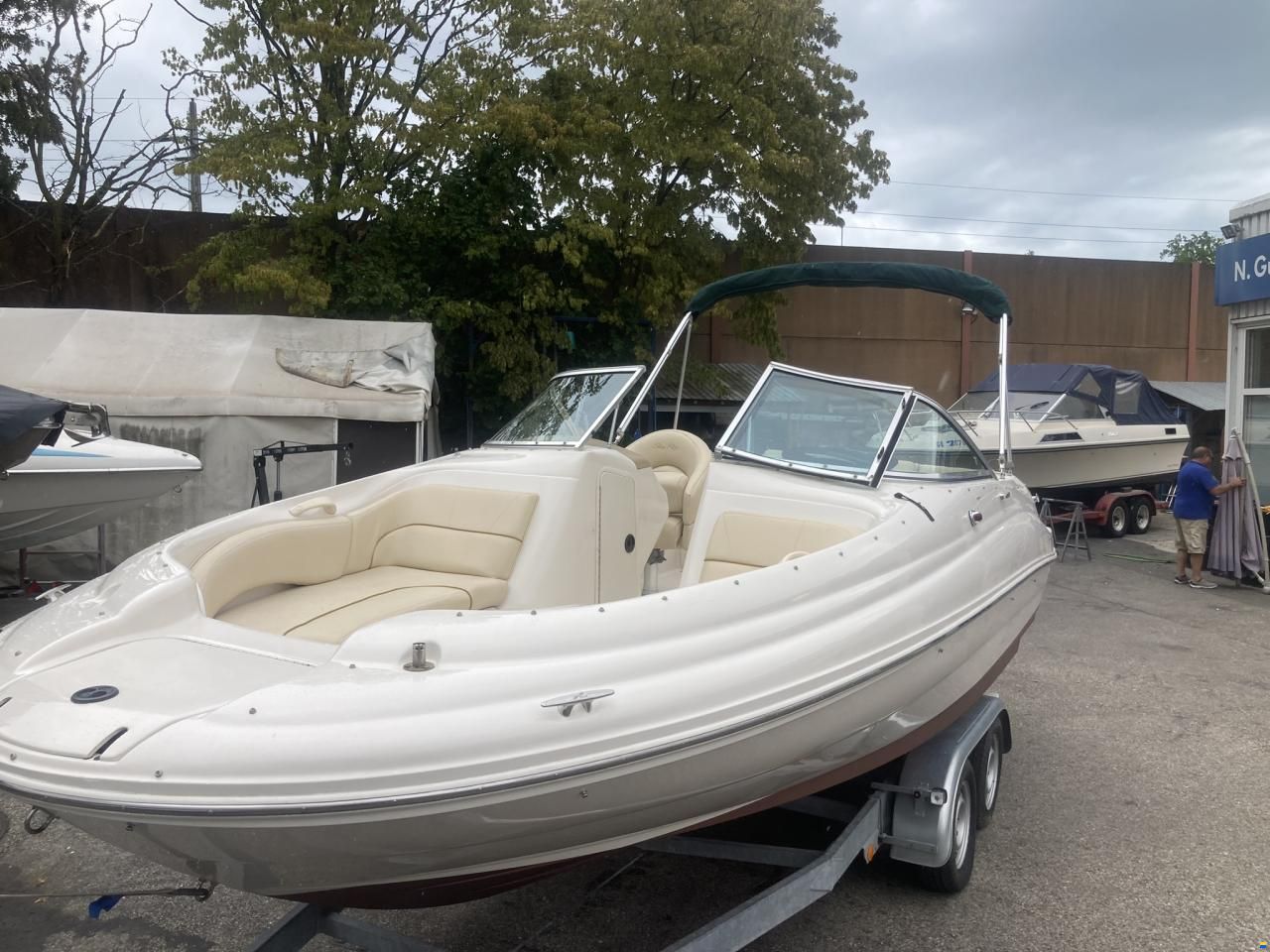 Sea Ray 190 SD