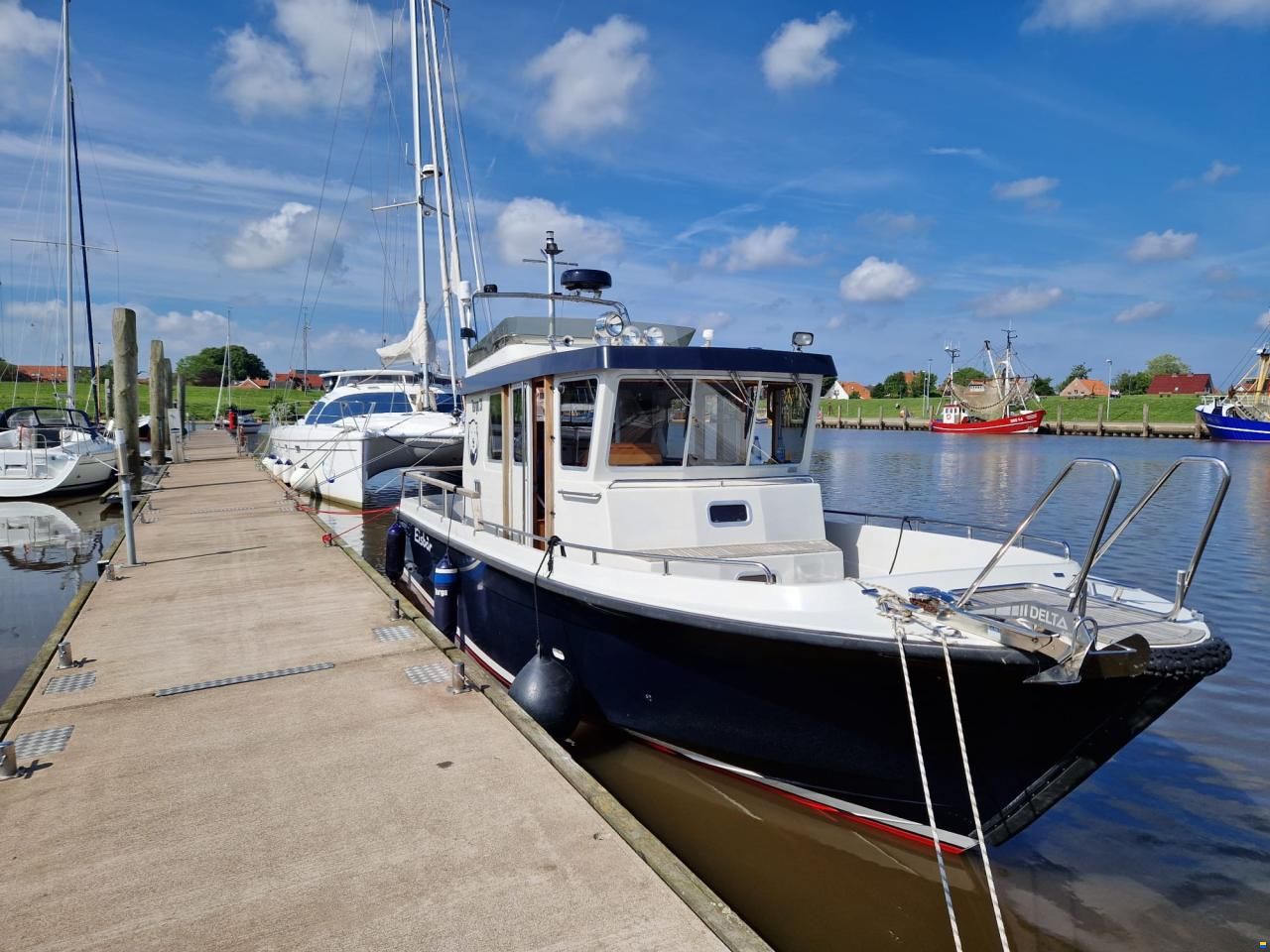 Targa 31