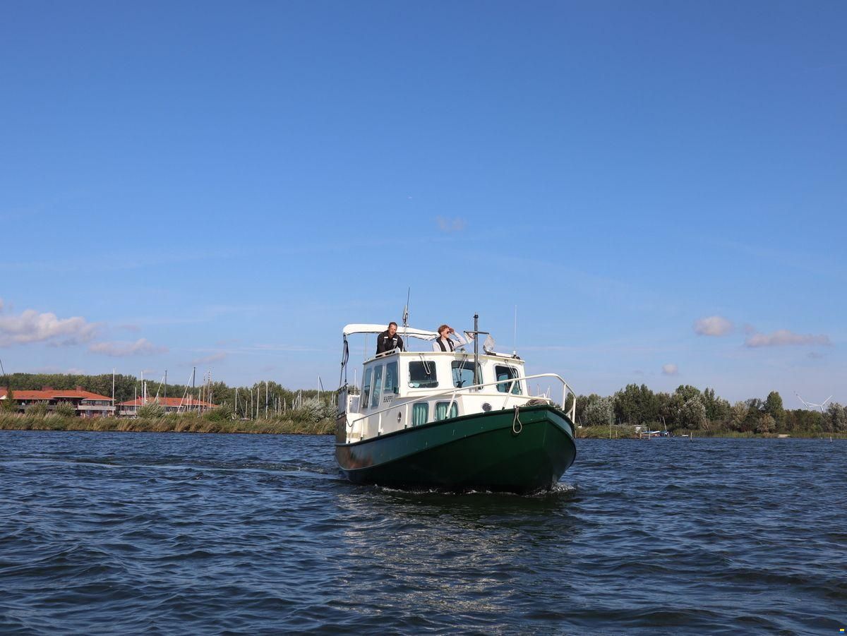 Loosevlet 950 Sint Jozef