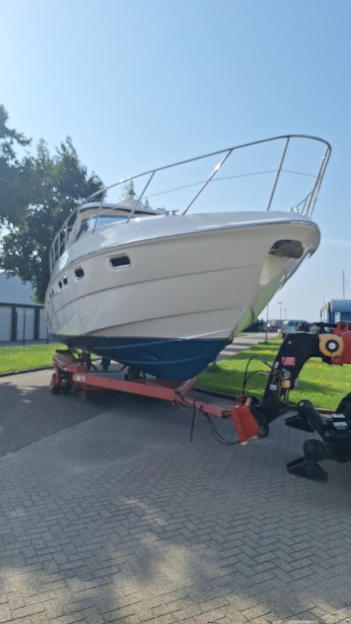 Sealine S41