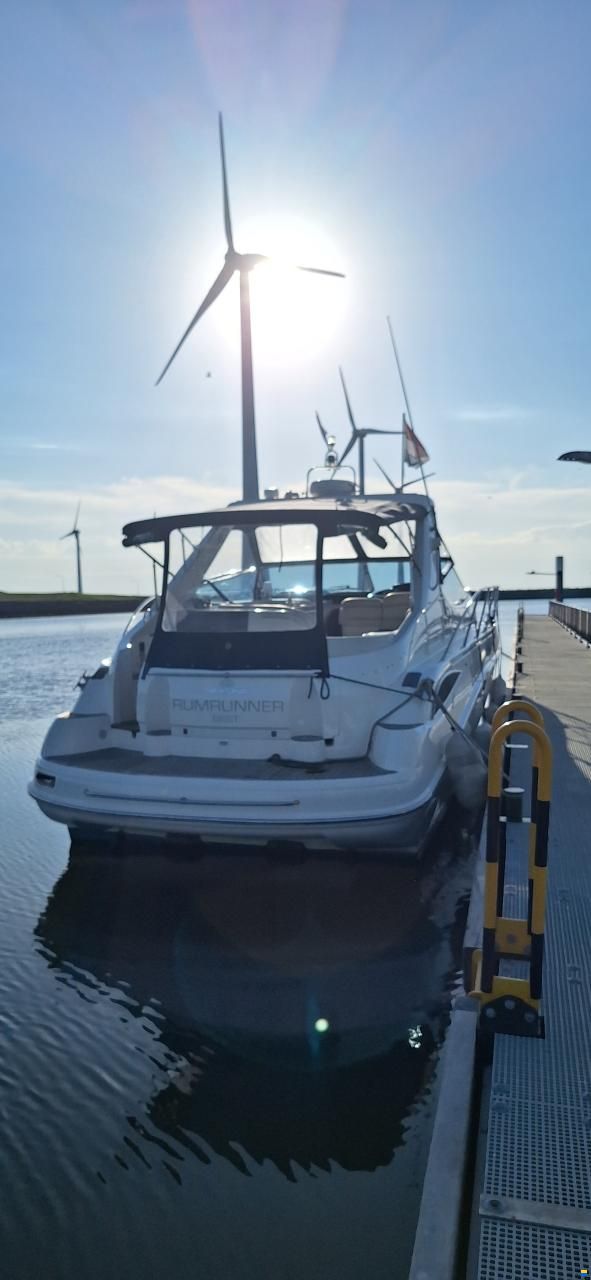 Sealine S41