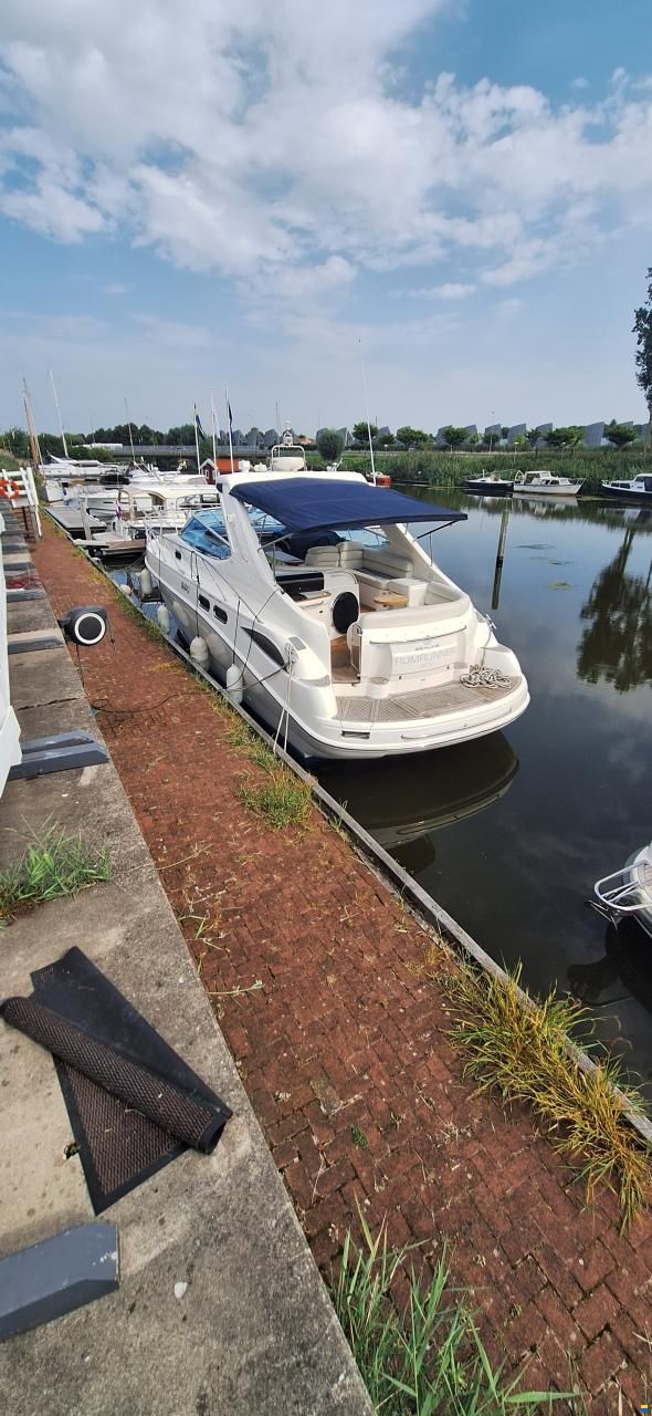 Sealine S41