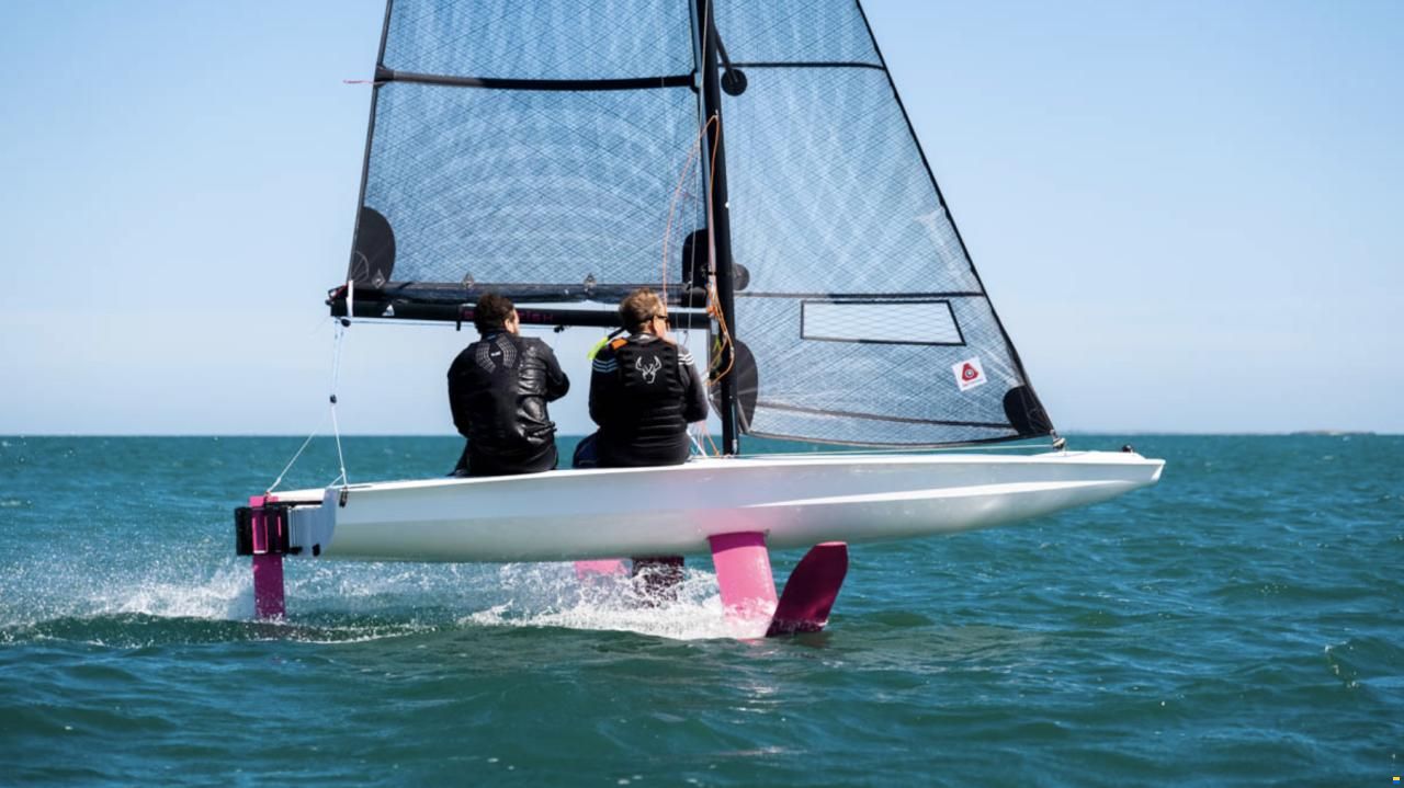 BirdyFish Race Version