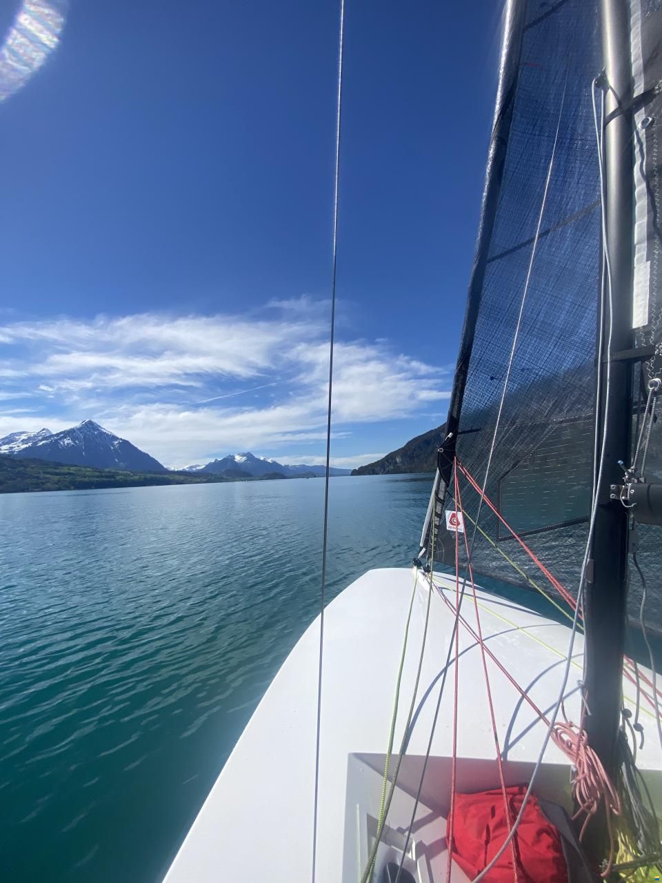 BirdyFish Race Version