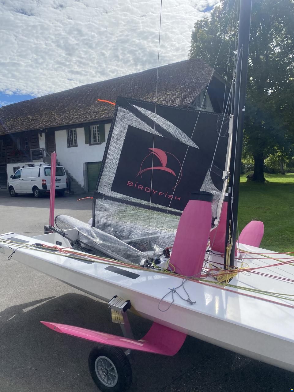 BirdyFish Race Version